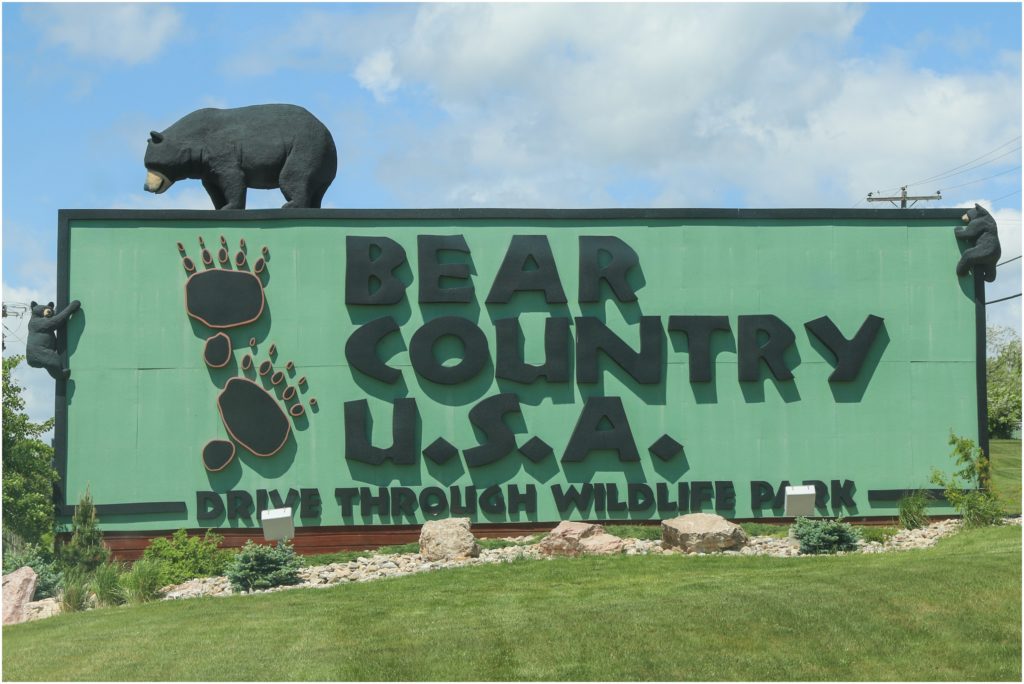 South Dakota Bear Country USA Cub Fest Brittani Chin Photography