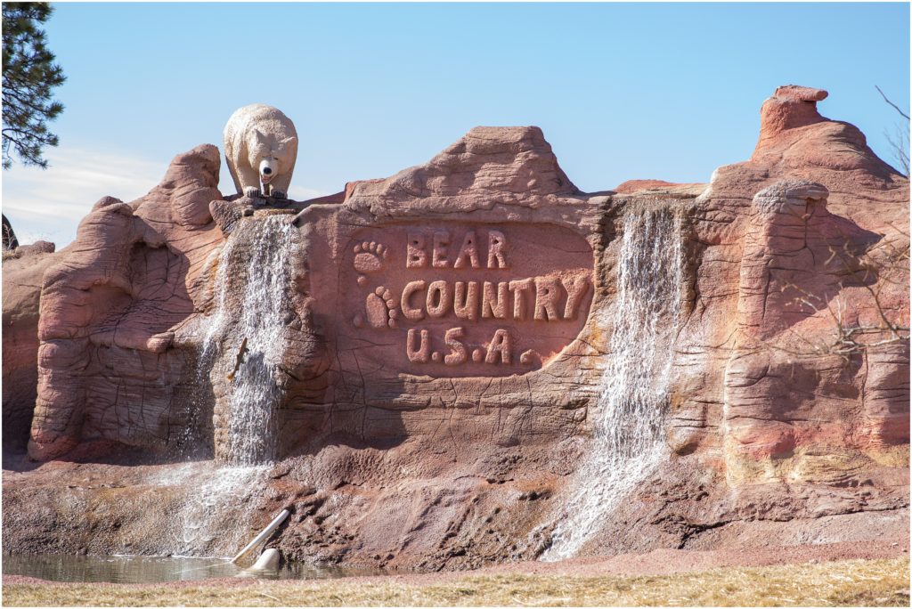 South Dakota Vacation Bear Country USA Cub Fest Brittani Chin Photography